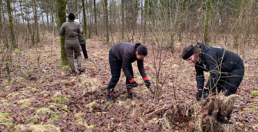 Samarbejde på tværs af interesser skaber ridesti og fælles forståelse i Faster Plantage