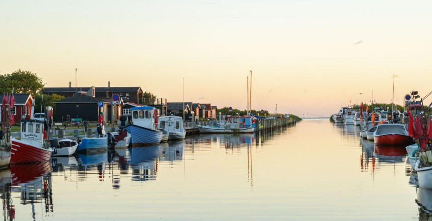 Foto: Søren Palmelund