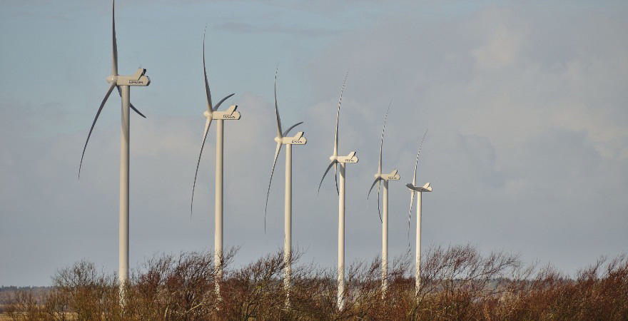 Ambitiøs klimapolitik i Naturens Rige