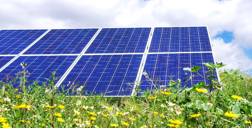 Nu åbner Grøn Pulje med næsten 1,8 millioner kroner til to lokalsamfund