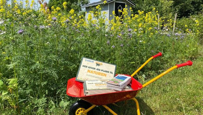 Bliv klogere på din vilde have