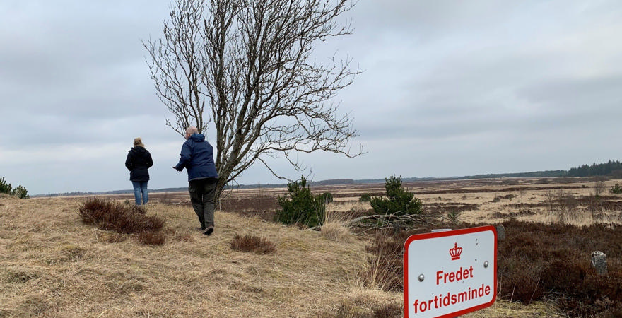Søren Frederiksen og Marlene Engelhardt Sjögren på Borris Hede. Foto Merete Jensen