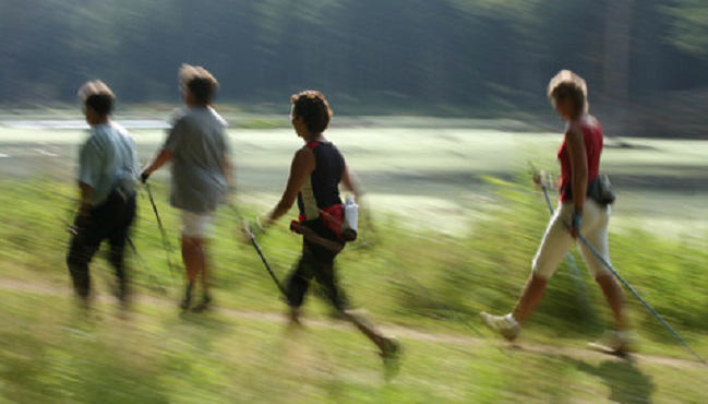 Her er det nye Ældreråd