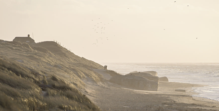 Foto fra Rebecca Molders