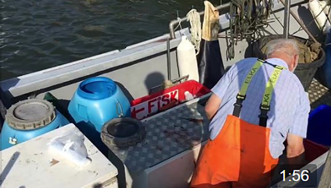 Forsidebillede af Asta Poulsens første videofilm som lokal videoambassadør