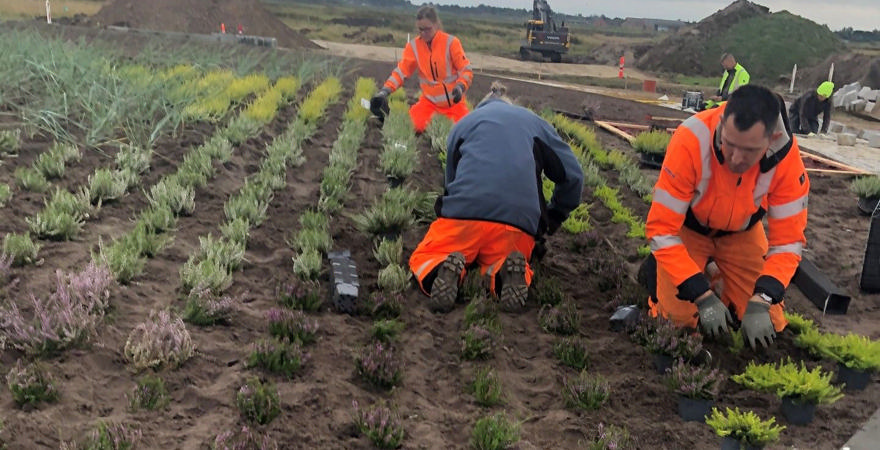 Foto fra Vej & Park (Vej & Park-medarbejdere)
