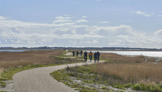 Fællesskaber gør det sjovt at være sund