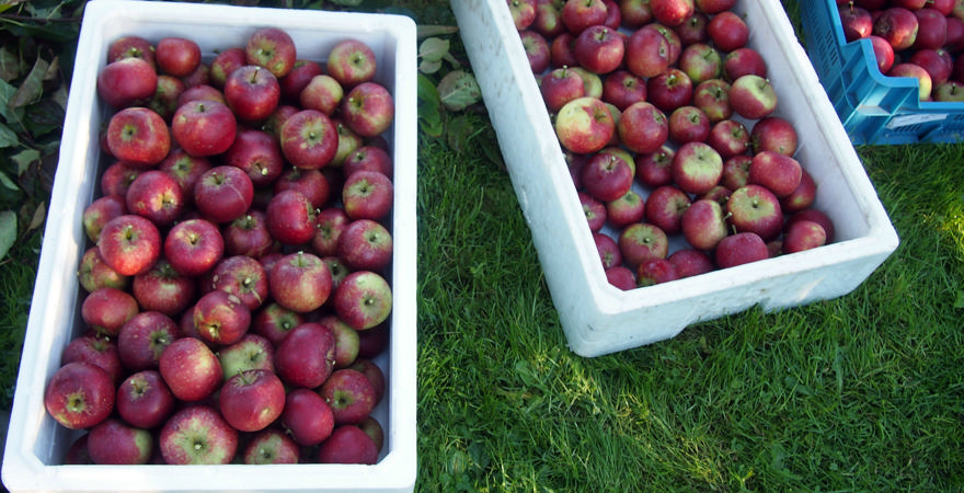 Fokus på nye fødevarer og nicheprodukter