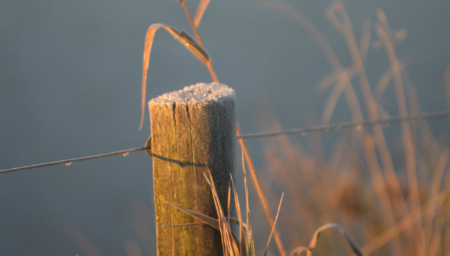 Åbent landsbykontor i Fjelstervang