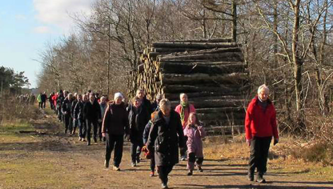 Flere kræfter til at arrangere og bakke op om lokale arrangementer er en af fordelene ved landsbyklynger.